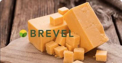 Hard cheese of vegetable origin with algae protein